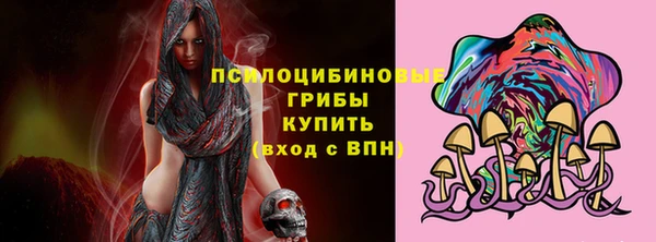 ГАЛЛЮЦИНОГЕННЫЕ ГРИБЫ Алзамай
