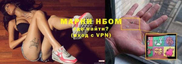 ГАЛЛЮЦИНОГЕННЫЕ ГРИБЫ Алзамай