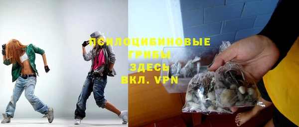 ГАЛЛЮЦИНОГЕННЫЕ ГРИБЫ Алзамай