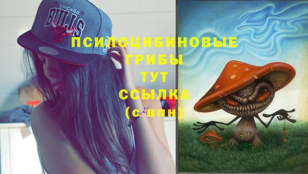 метадон Алексеевка