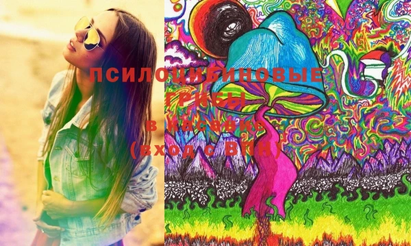 ГАЛЛЮЦИНОГЕННЫЕ ГРИБЫ Алзамай
