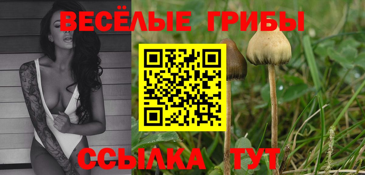 Галлюциногенные грибы мухоморы  Вход с VPN  Махачкала 