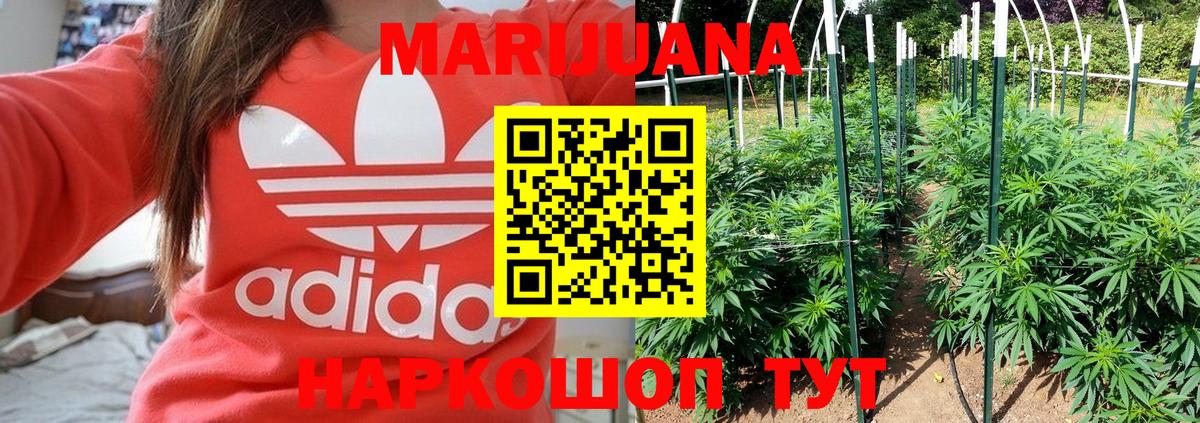Канабис гибрид Махачкала